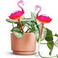 2-Piece Flamingo Glass Plant Watering Globes