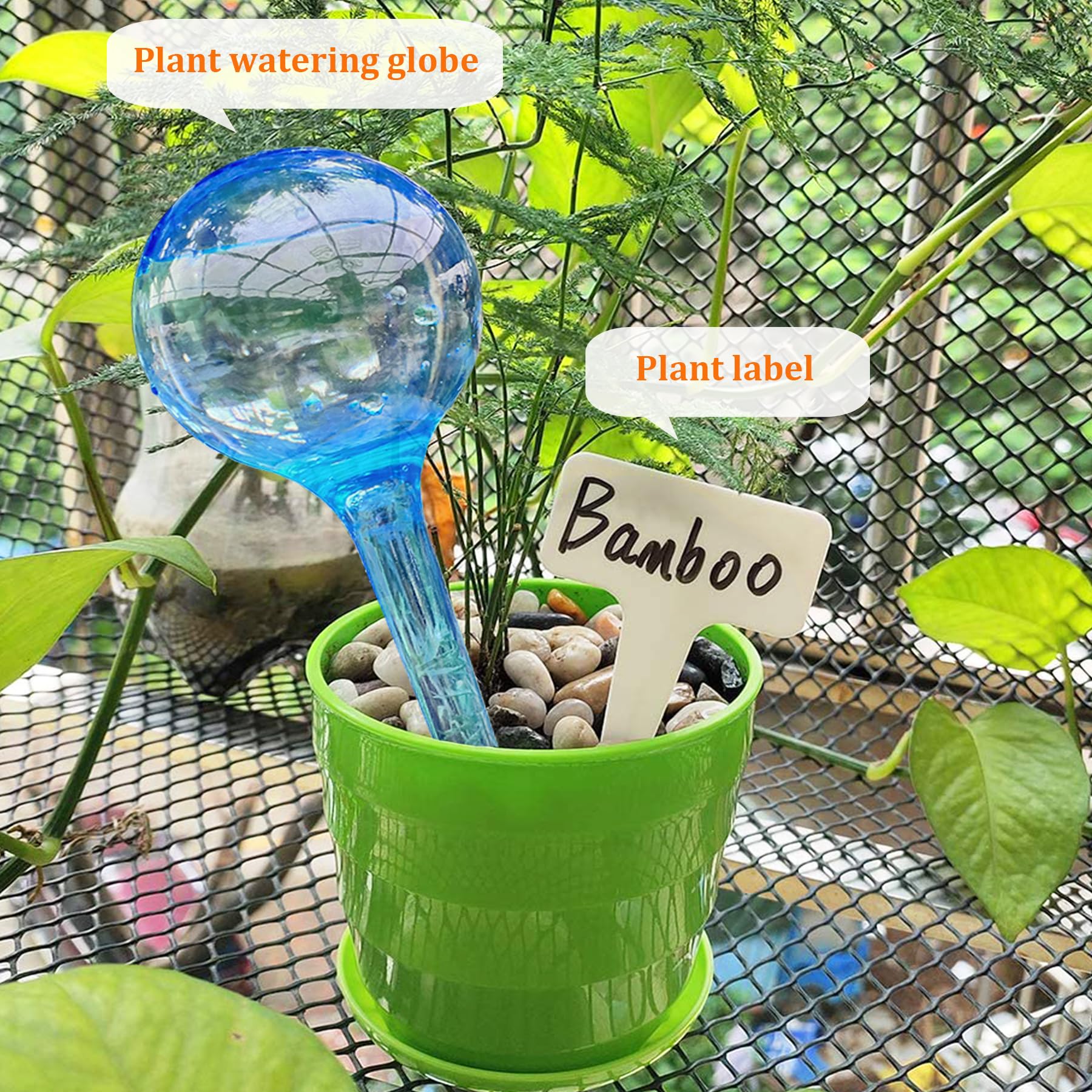 10-Piece Plant Self-Watering Globes Set