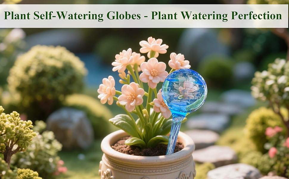 10-Piece Plant Self-Watering Globes Set