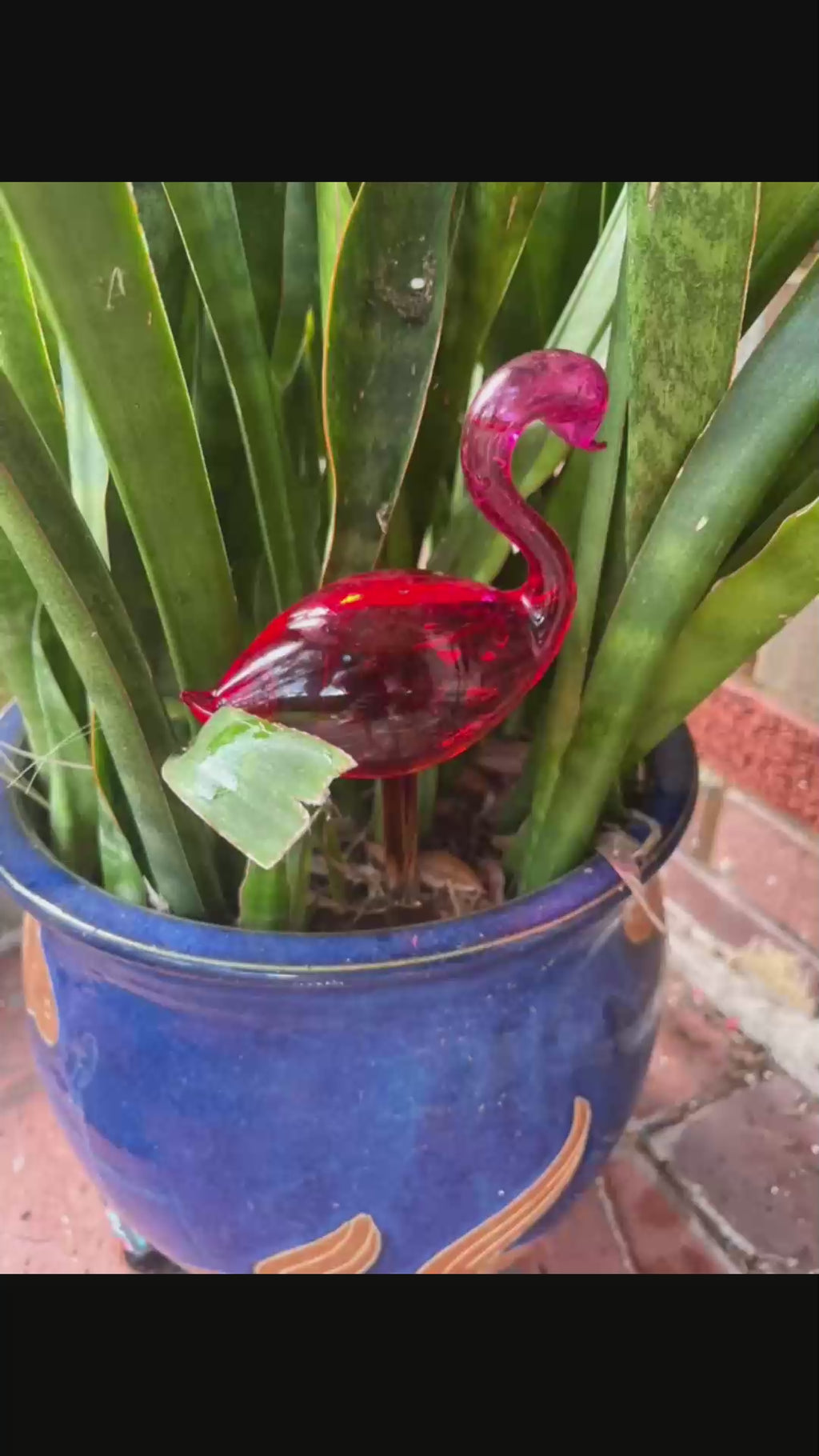 2-Piece Flamingo Glass Plant Watering Globes